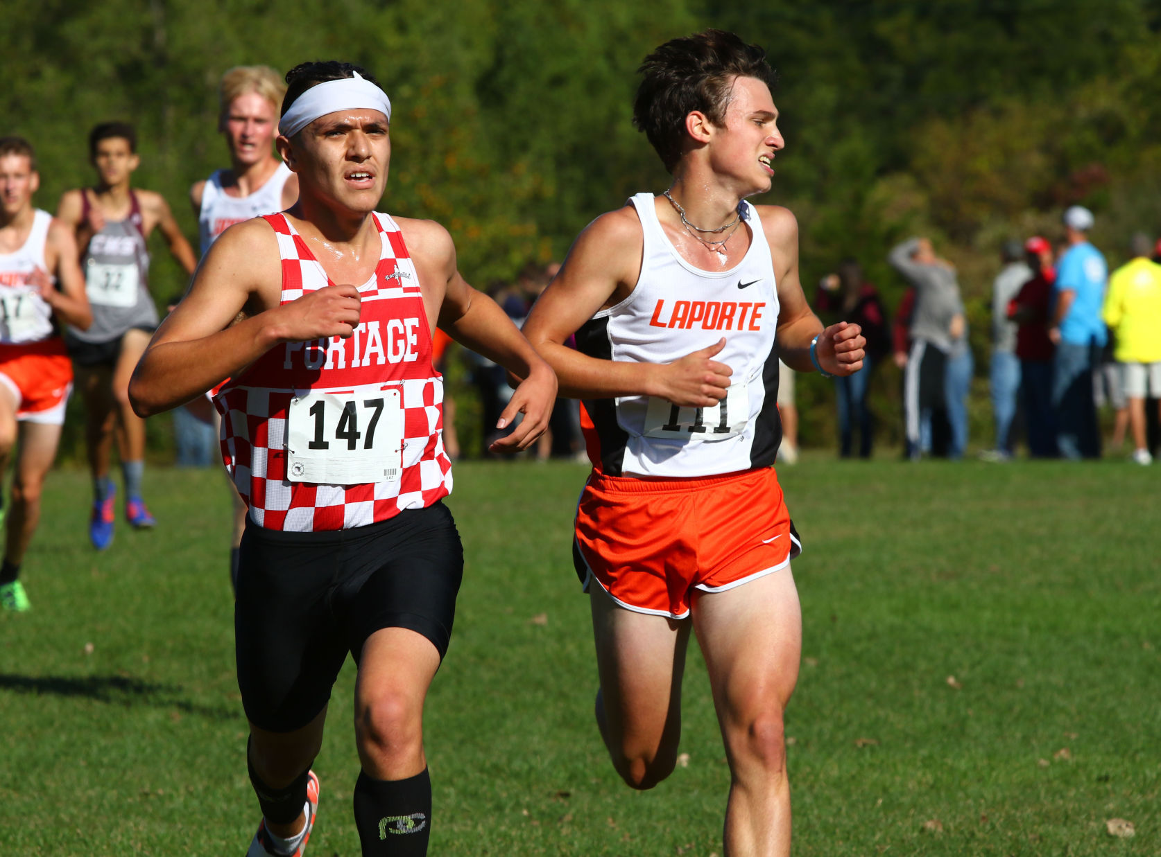 Gallery: Duneland Athletic Conference cross country meet